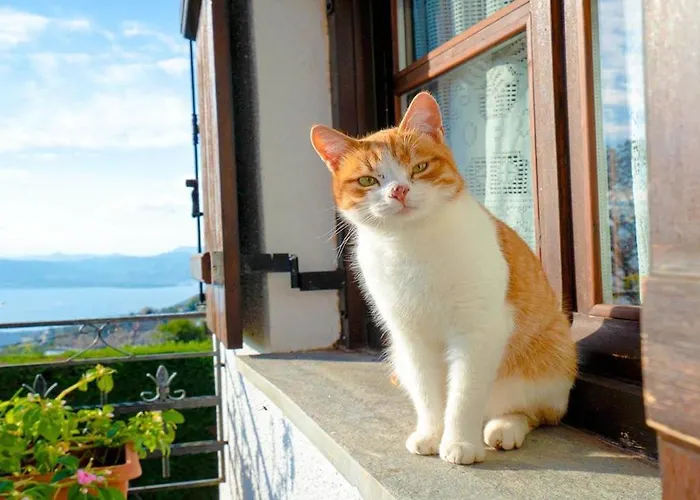 Chrissi Nefeli 別荘 *